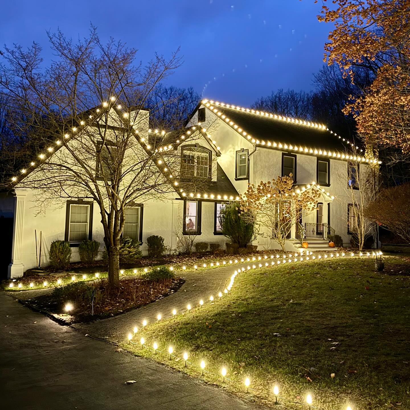 Tree and driveway holiday lighting NJ professional install